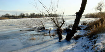 Eisgang auf der Oder