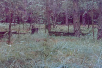 Friedhof Beatenwalde/Graby 1976  (gleiche Aufnahmerichtung wie 1942, s. den verwachsenen Baum auf beiden Fotos) – Fotos: Habermann