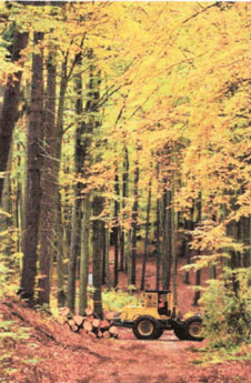 Im Walde werden wirtschaftliche Arbeiten durchgeführt. 