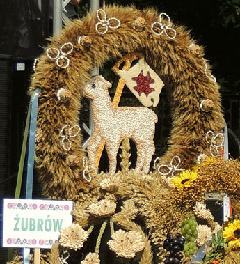 Erntekrone Zubrow/Herzogswalde 